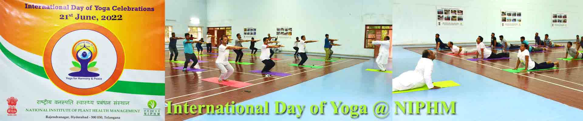 International Day of Yoga @ NIPHM