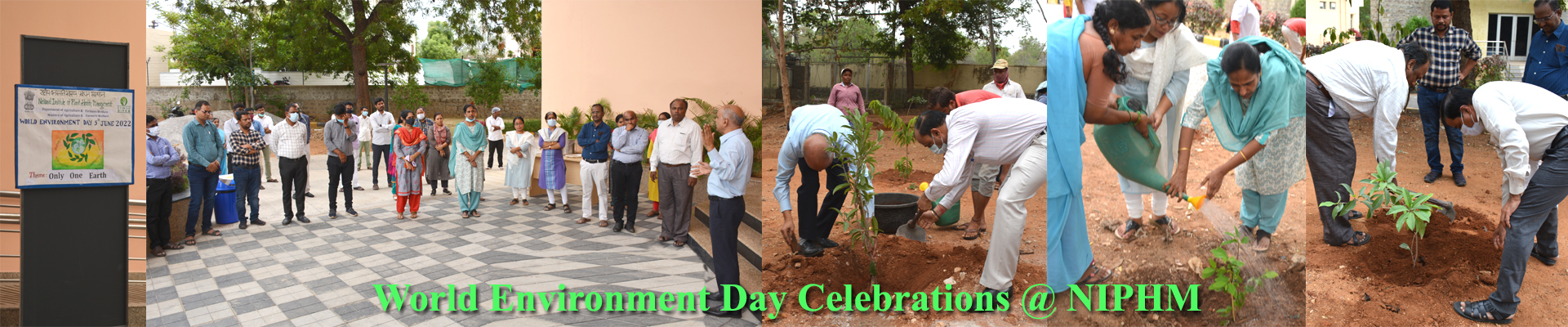 World Environment Day being observed @ NIPHM